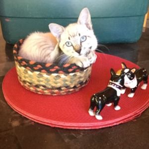 Meet your Posher, Stephanie